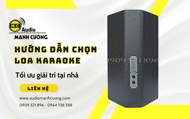 Hướng dẫn chọn loa karaoke tối ưu giải trí tại nhà